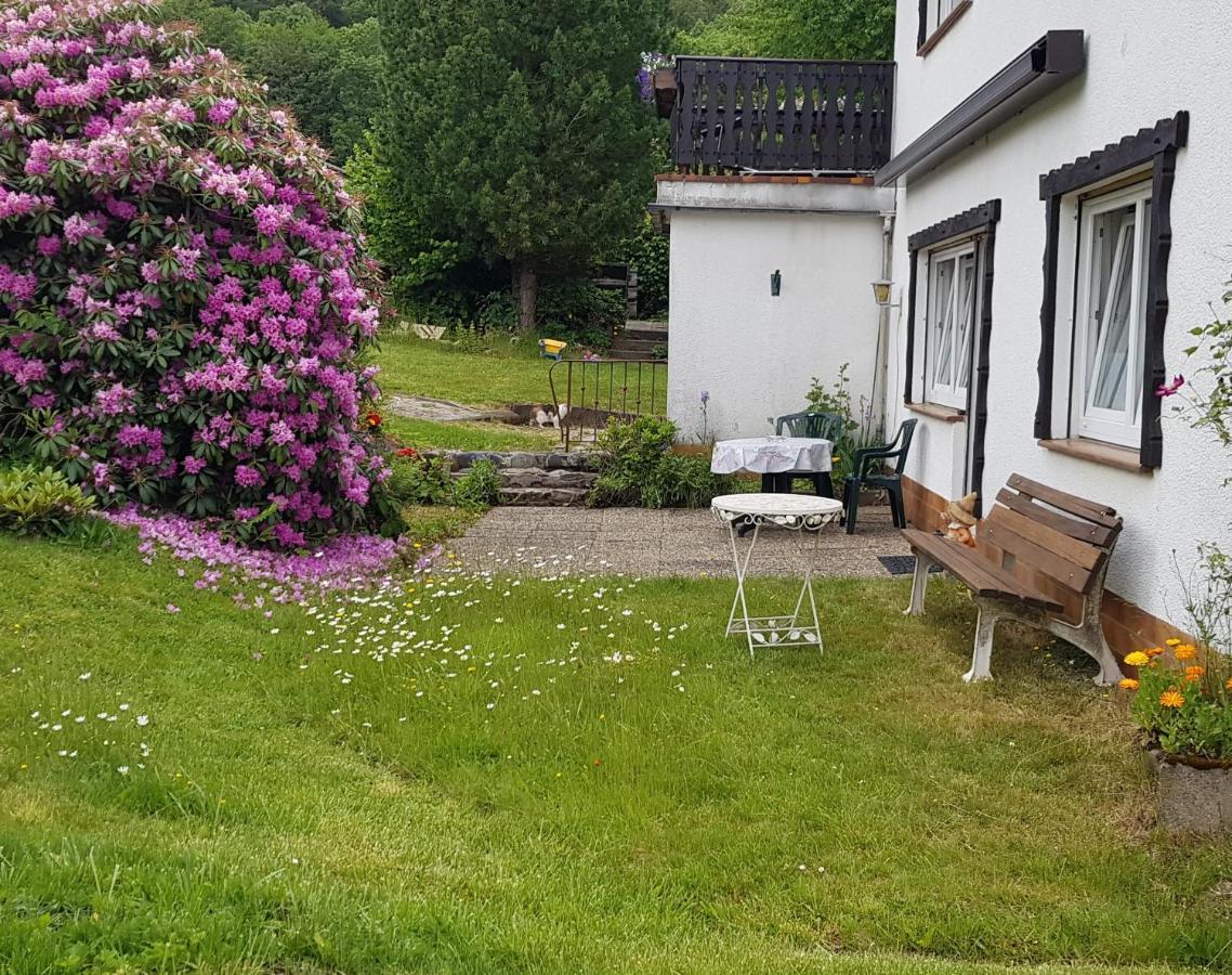 Ferienwohnung Eva Grebenhain Zewnętrze zdjęcie