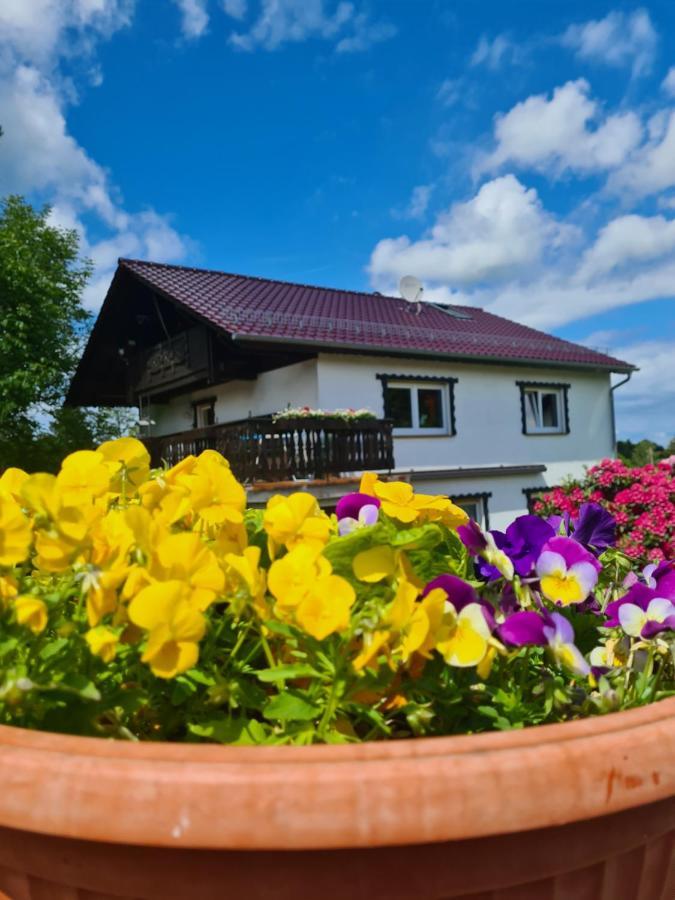 Ferienwohnung Eva Grebenhain Zewnętrze zdjęcie
