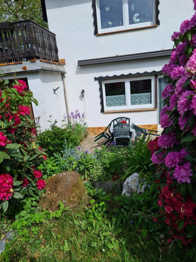 Ferienwohnung Eva Grebenhain Zewnętrze zdjęcie